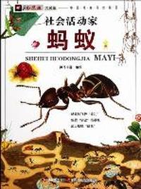社会活动家-蚂蚁