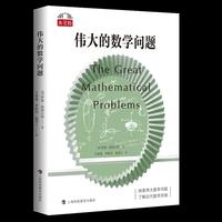 伟大的数学问题（“数学桥”丛书）