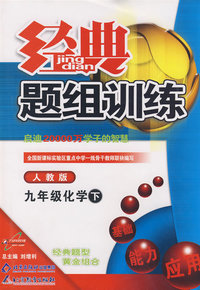 经典题组训练九年级化学—人教版（下）