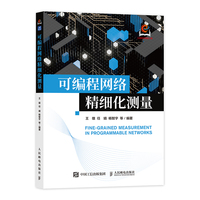 可编程网络精细化测量