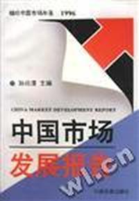 中国市场发展报告