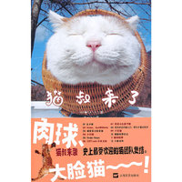猫叔来了