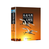 东北鸟类大图鉴