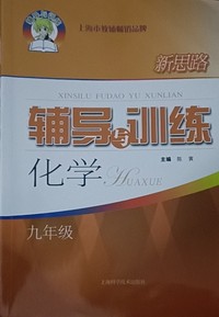 新思路辅导与训练  化学  九年级
