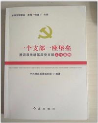 一个支部一座堡垒 澄迈县先进基层党支部工作案例 建强支部堡垒 发挥党建+作用