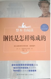 钢铁是怎样炼成的