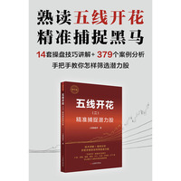 五线开花（二）：精准捕捉潜力股（精华版）