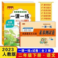 巩固提优天天练一课一练 二年级语文下册（书+试卷）全2册 小学教材练习册 随堂课后专项训练