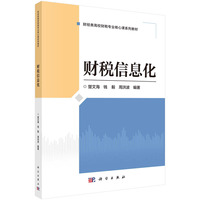 财税信息化