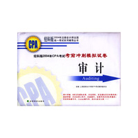 经科版2004年CPA考试考前冲剌模拟试卷：审计