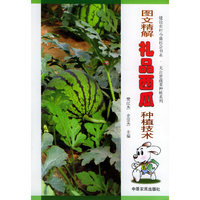 图文精解礼品西瓜种植技术