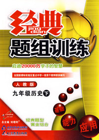 经典题组训练九年级历史—人教版（下）