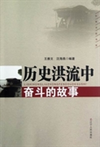 历史洪流中奋斗的故事