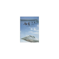 雨花年鉴:2013