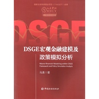 DSGE宏观金融建模及政策模拟分析