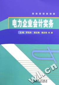 电力企业会计实务