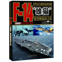 历代主力战机完全档案：F-14“雄猫”重型舰载战斗机