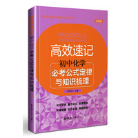初中化学必考公式定律与知识梳理-高效速记-幻彩版