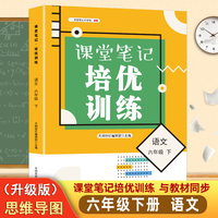 课堂笔记培优训练六年级语文下册人教版课本同步教材讲解预习复习知识点训练
