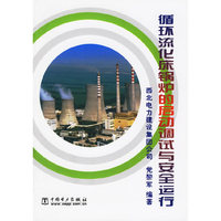 循环流化床锅炉的启动调试与安全运行