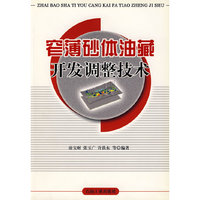 窄薄砂体油藏开发调整技术