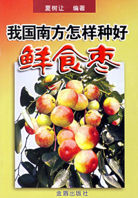 我国南方怎样种好鲜食枣