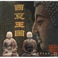 DVD西夏王国