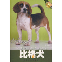 比格犬