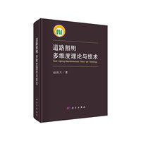 道路照明：多维度理论与技术
