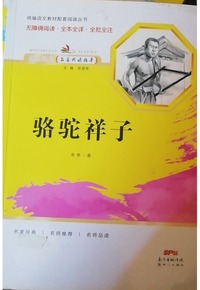 亮点激活  名著阅读指导  骆驼祥子