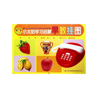 小太阳学习启蒙早教挂图/小太阳早教挂图系列