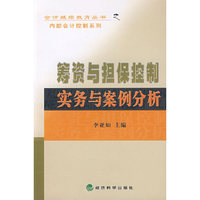 筹资与担保控制实务与案例分析