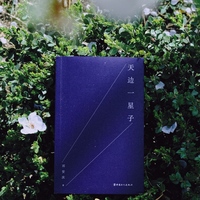 天边一星子