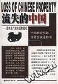 流失的中国