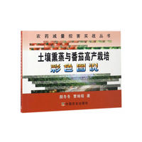 土壤熏蒸与番茄高产栽培彩色图说