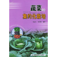 蔬菜的集约化栽培