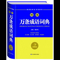 精编万条成语词典