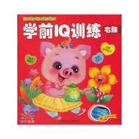 学前IQ训练右脑-阳光宝贝幼儿益智游戏-阳光宝贝幼儿益智游戏-赠益智贴纸