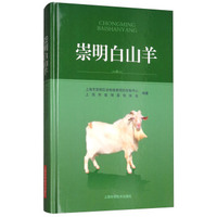 教育部语文新课标 ·人生必读书：巨人的足迹（美绘版）小学生3-6年级 青少年 外国经典文学名著