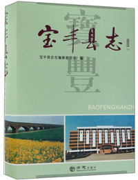 宝丰县志（再版）