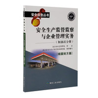 安全生产监管监察与企业管理实务  加油站分册