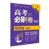 理想树2021新高考山东专版 高考必刷卷预测卷  物理（山东专用）