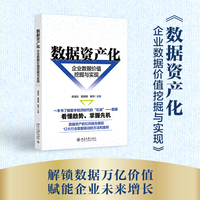 数据资产化：企业数据价值挖掘与实现(一本书了解数字经济时代的“石油”-数据，12大行业数据驱动的方法和案例)