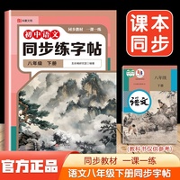 大开本同步字帖八语文下册 中小学生语文英语同步字帖 七八年级上下册英语同步练习字帖初中生描红本书法练习册 硬笔书法练字专用本