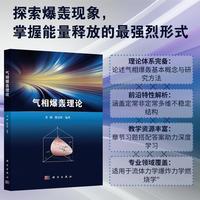 气相爆轰理论9787030836137董刚科学出版社