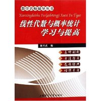 线性代数与概率统计学习与提高/教学名师辅导丛书(教学名师辅导丛书)