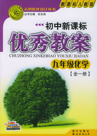 初中新课标优秀教案：九年级化学（全一册）