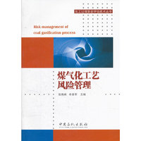 煤气化工艺风险管理