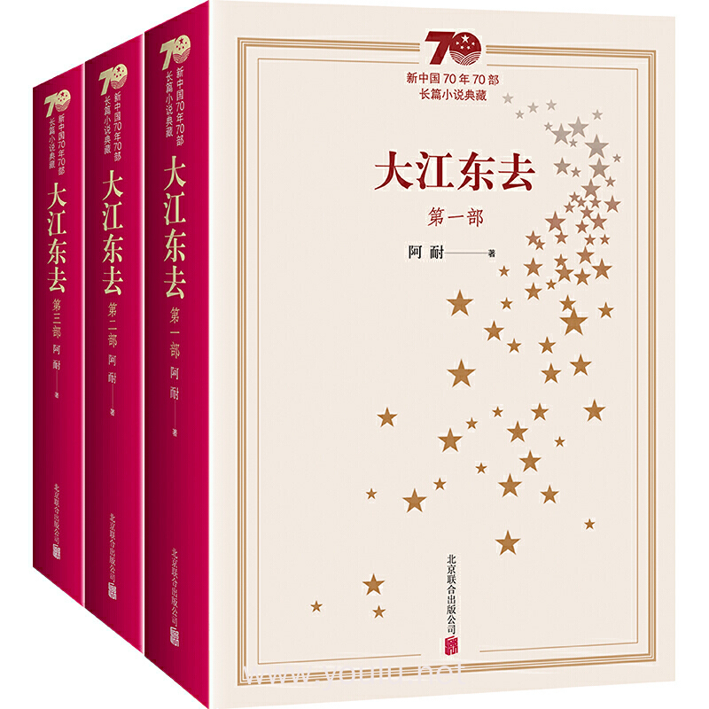 大江东去(入选新中国70年70部长篇小说典藏作品,电视剧《大江大河》