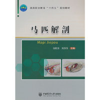 马匹解剖
